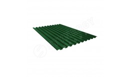 Профнастил С21 RAL 6002 (лиственно-зелёный) 0.45 A