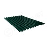 Профнастил С21 RAL 6005/6005 (зелёный мох) 0.40