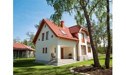 Минеральная черепица Braas Протектор