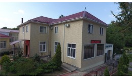 Фасадная панель Stein, янтарный