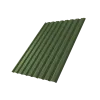 Профнастил С20A 0,5 Satin Matt TX RAL 6020 хромовая зелень