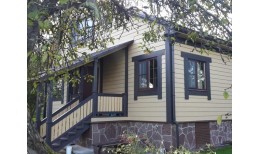 Сайдинг CEDRAL wood (под дерево) С51