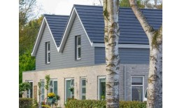 Сайдинг CEDRAL click wood (под дерево) С56