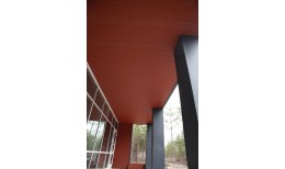 Вертикаль 0,2 line 0,5 Satin Matt RAL 8004 терракота