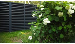 Ламель жалюзи Milan new 0,45 Drap с пленкой RAL 7016 антрацитово-серый